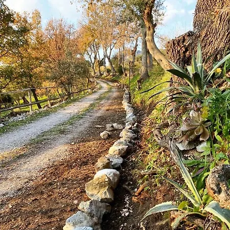 Alojamento de Acomodação e Pequeno-almoço Giogio
